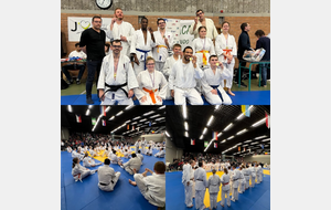 Championnat Régional de Judo Sport Adapté